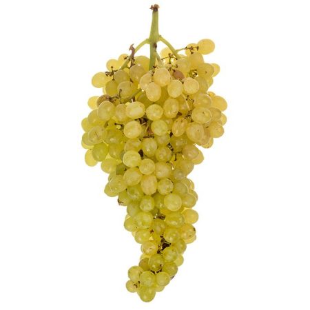 انگور سفید بی دانه Fresh مقدار 500 گرم